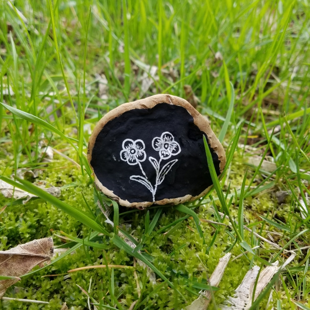 Nighttime Forget-me-nots - Hand Drawn On Bracket Fungus